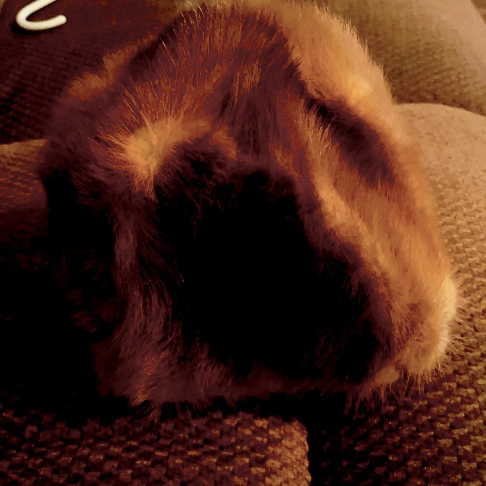Ladies mink hat
